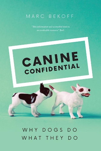 Бумажная книга «Canine Confidential: Why Dogs Do What They Do», автор Марк Бекофф - фото №1