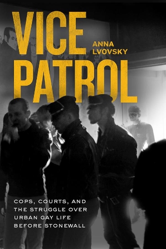 Бумажная книга «Vice Patrol: Cops, Courts, and the Struggle over Urban Gay Life before Stonewall», автор Анна Львовски - фото №1