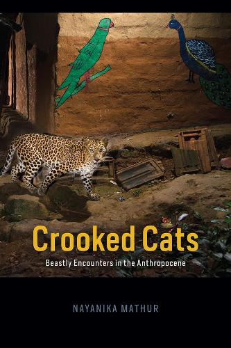 Бумажная книга «Crooked Cats: Beastly Encounters in the Anthropocene», автор Наяника Матхур - фото №1