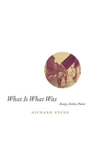 Паперова книга «What Is What Was», автор Річард Стерн - фото №1