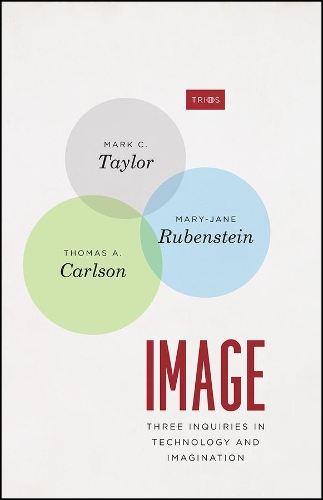 Бумажная книга «Image: Three Inquiries in Technology and Imagination», авторов Марк К. Тейлор, Мэри-Джейн Рубенштейн, Томас А. Карлсон - фото №1