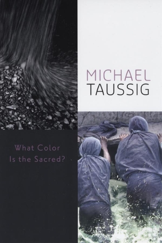 Паперова книга «What Color Is the Sacred?», автор Майкл Таусіг - фото №1