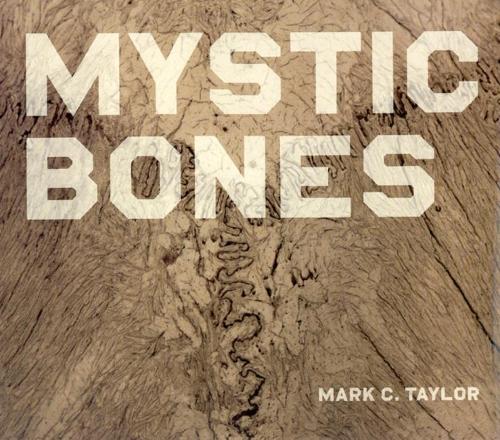 Бумажная книга «Mystic Bones», автор Марк К. Тейлор - фото №1