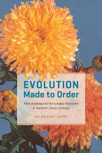 Паперова книга «Evolution Made to Order: Plant Breeding and Technological Innovation in Twentieth-Century America», автор Хелен Енн Каррі - фото №1