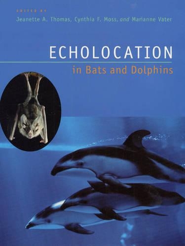 Бумажная книга «Echolocation in Bats and Dolphins», автор Жанетт А. Томас - фото №1