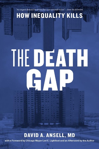 Бумажная книга «The Death Gap: How Inequality Kills», автор Дэвид А. Анселл - фото №1