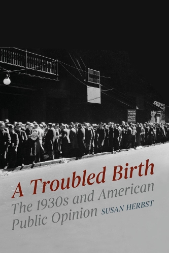 Бумажная книга «A Troubled Birth: The 1930s and American Public Opinion», автор Сьюзен Хербст - фото №1
