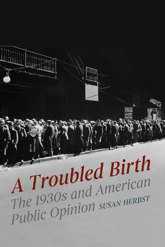 Бумажная книга «A Troubled Birth: The 1930s and American Public Opinion», автор Сьюзен Хербст - фото №1