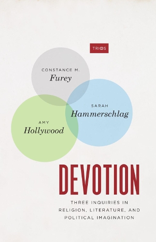 Бумажная книга «Devotion: Three Inquiries in Religion, Literature, and Political Imagination», авторов Эми Холливуд, Констанс М. Фьюри, Сара Хаммершлаг - фото №1