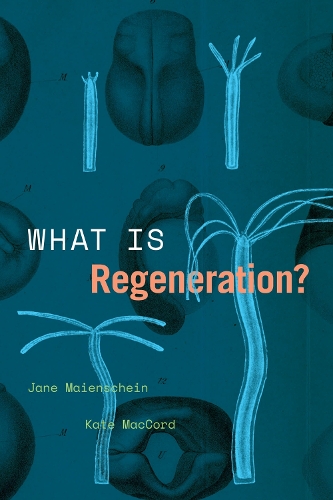 Бумажная книга «What Is Regeneration?», авторов Джейн Мейеншайн, Кейт МакКорд - фото №1