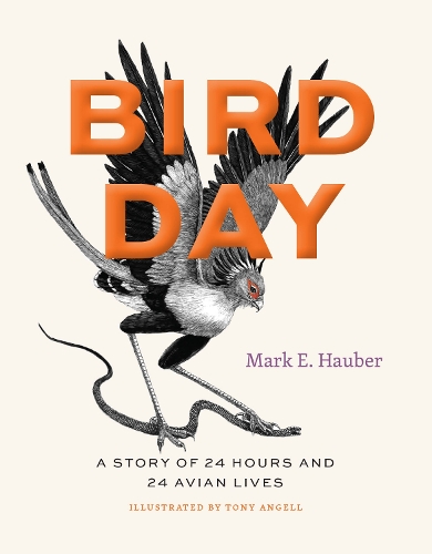Бумажная книга «Bird Day: A Story of 24 Hours and 24 Avian Lives», автор Марк Э. Хаубер - фото №1