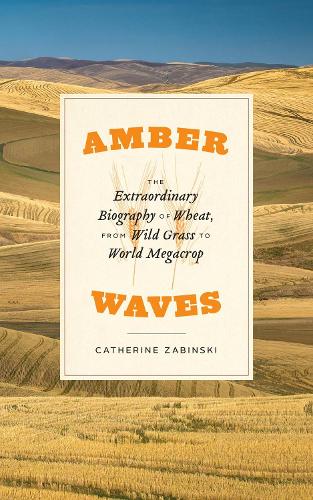 Бумажная книга «Amber Waves: The Extraordinary Biography of Wheat, from Wild Grass to World Megacrop», автор Кэтрин Забински - фото №1
