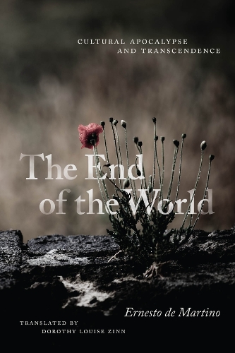 Паперова книга «The End of the World: Cultural Apocalypse and Transcendence» - фото №1