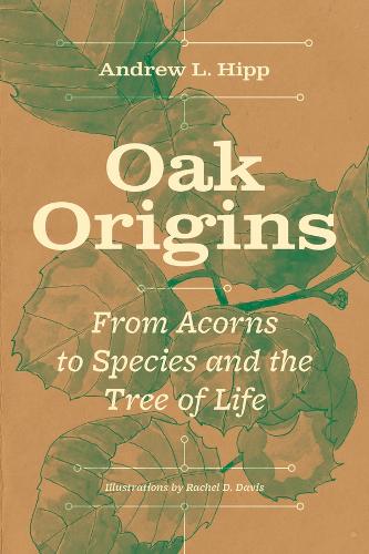 Бумажная книга «Oak Origins: From Acorns to Species and the Tree of Life», автор Эндрю Л. Хипп - фото №1