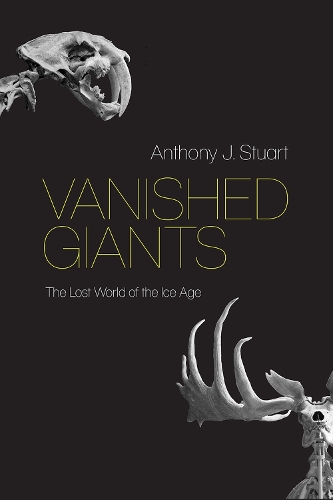 Бумажная книга «Vanished Giants: The Lost World of the Ice Age», автор Энтони Дж. Стюарт - фото №1