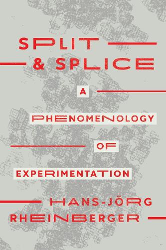 [object Object] «Split and Splice: A Phenomenology of Experimentation», автор Ханс-Йорг Райнбергер - фото №1