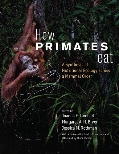 Бумажная книга «How Primates Eat: A Synthesis of Nutritional Ecology across a Mammal Order» - фото №1