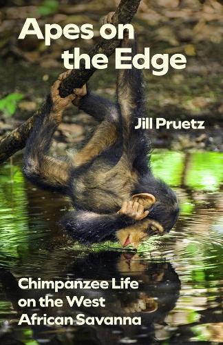 Бумажная книга «Apes on the Edge: Chimpanzee Life on the West African Savanna», автор Джилл Пруэтц - фото №1