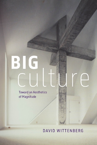 Бумажная книга «Big Culture: Toward an Aesthetics of Magnitude», автор Дэвид Виттенберг - фото №1