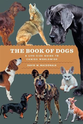Paper book «The Book of Dogs: A Life-Size Guide to Canids Worldwide», author David W. Macdonald - фото №1