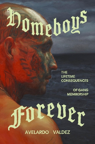 Бумажная книга «Homeboys Forever: The Lifetime Consequences of Gang Membership», автор Авелардо Вальдес - фото №1