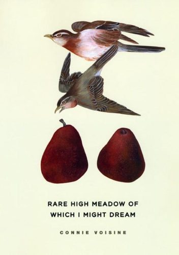 Бумажная книга «Rare High Meadow of Which I Might Dream», автор Конни Вуазен - фото №1