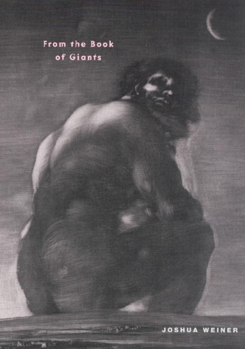 Бумажная книга «From the Book of Giants», автор Джошуа Вайнер - фото №1
