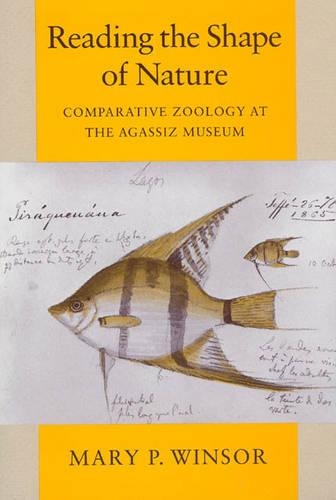 [object Object] «Reading the Shape of Nature: Comparative Zoology at the Agassiz Museum», автор Мері П. Вінзор - фото №1