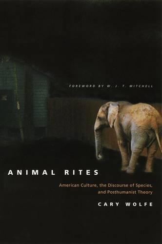 Бумажная книга «Animal Rites: American Culture, the Discourse of Species, and Posthumanist Theory», автор Кэри Вулф - фото №1