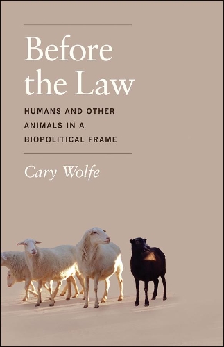 Бумажная книга «Before the Law: Humans and Other Animals in a Biopolitical Frame», автор Кэри Вулф - фото №1
