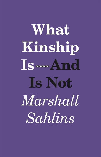 Паперова книга «What Kinship Is-And Is Not», автор Маршалл Салінз - фото №1
