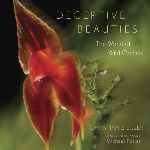 Бумажная книга «Deceptive Beauties: The World of Wild Orchids», автор Кристиан Зиглер - фото №1