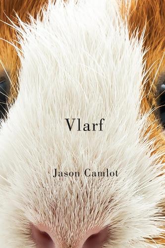 Бумажная книга «Vlarf», автор Джейсон Камлот - фото №1