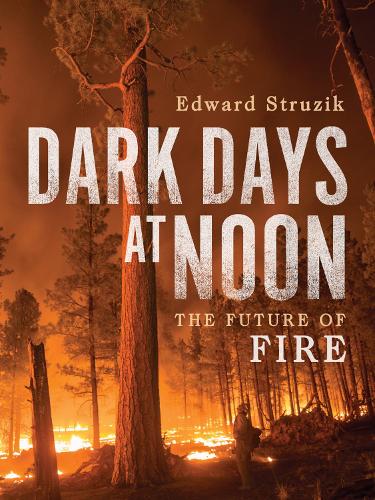 Паперова книга «Dark Days at Noon: The Future of Fire», автор Едвард Струзік - фото №1