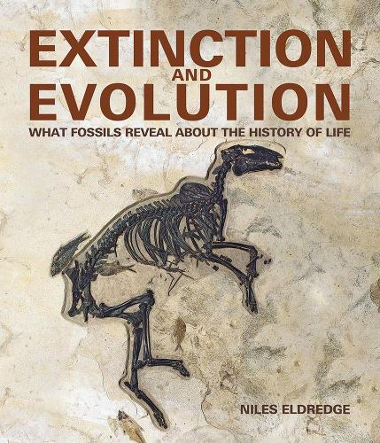 [object Object] «Extinction and Evolution: What Fossils Reveal about the History of Life», автор Найлс Элдредж - фото №1