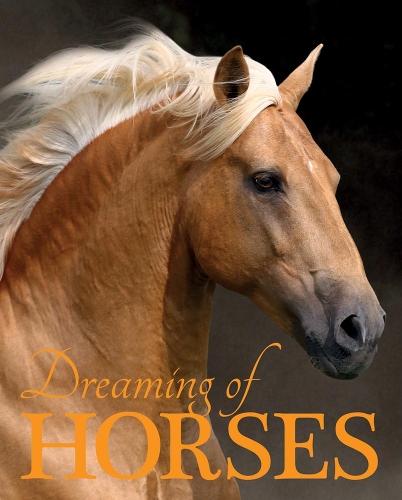Бумажная книга «Dreaming of Horses», автор Никола Суинни - фото №1