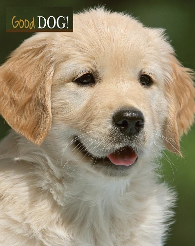 «Good Dog» - фото №1