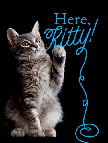 Бумажная книга «Here, Kitty!», автор Никола Суинни - фото №1