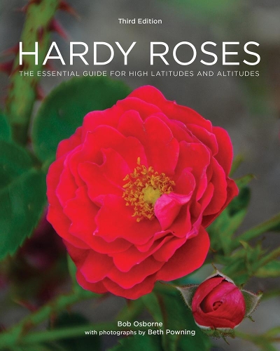  «Hardy Roses» - фото №1