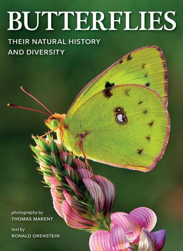 Бумажная книга «Butterflies: Their Natural History and Diversity», автор Рональд Оренштейн - фото №1