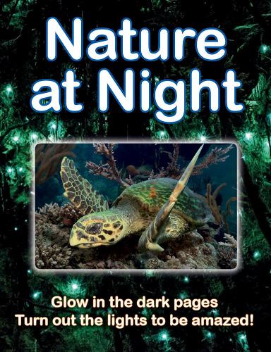 Бумажная книга «Nature at Night», автор Лайза Риган - фото №1