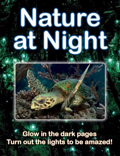  «Nature At Night» - фото №1