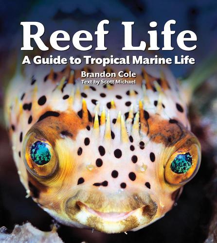 Бумажная книга «Reef Life: A Guide to Tropical Marine Life», автор Майкл Скотт - фото №1