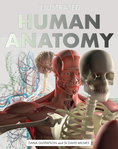 Бумажная книга «Illustrated Human Anatomy», автор Дана Густафсон - фото №1