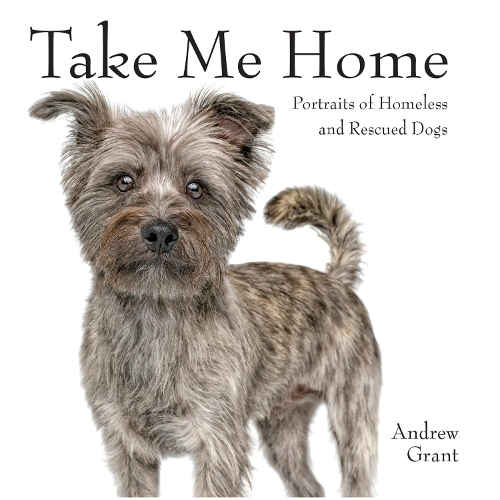  «Take Me Home» - фото №1