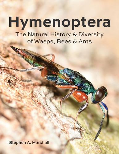 Бумажная книга «Hymenoptera: The Natural History and Diversity of Wasps, Bees and Ants», автор Стивен А. Маршалл - фото №1