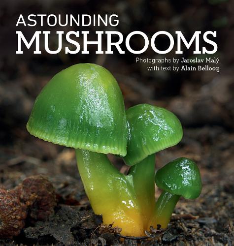 Бумажная книга «Astounding Mushrooms», автор Ален Беллок - фото №1