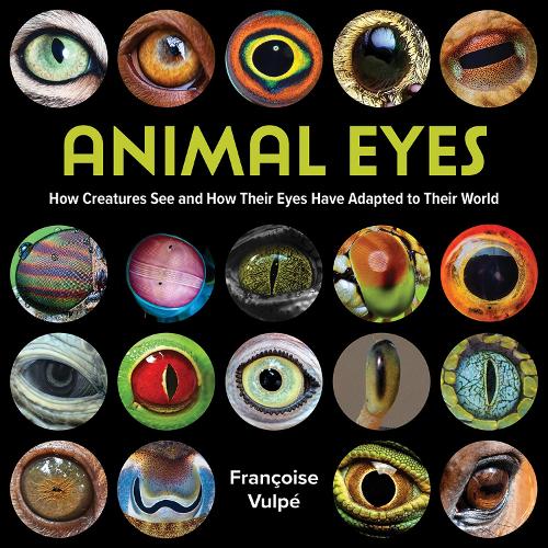 Паперова книга «Animal Eyes: How Creatures See and How Their Eyes Have Adapted to Their World», автор Франсуаза Вулпе - фото №1