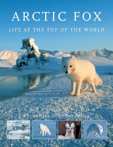 Бумажная книга «Arctic Fox: Life at the Top of the World», автор Гарри Гамильтон - фото №1