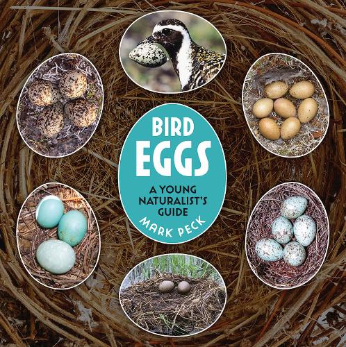 Паперова книга «Bird Eggs: A Young Naturalist's Guide», автор Марк Пек - фото №1